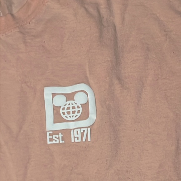 Walt Disney World Ombre Spirit Jersey Coral 2022 - Picture 3 of 13